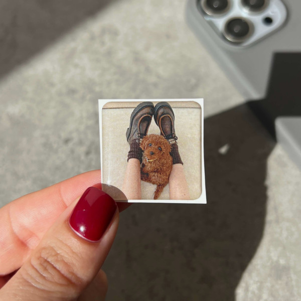 3D стікер "Curly cute puppy"