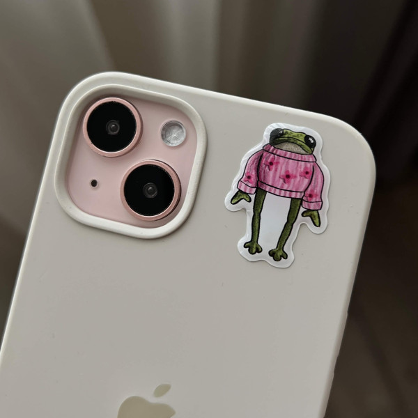 3D sticker "Frog in a pink sweater"