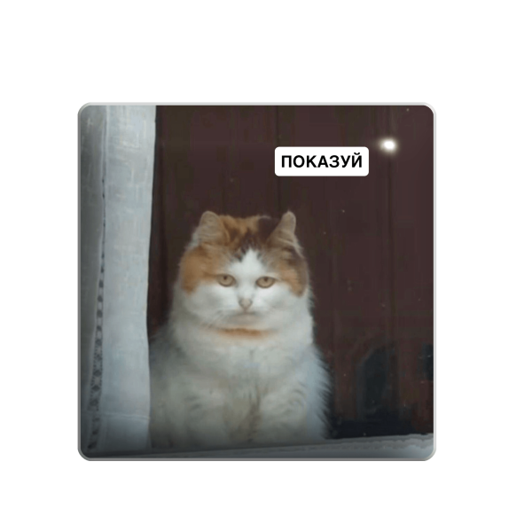 3D стікер "Кіт 'Показуй'"
