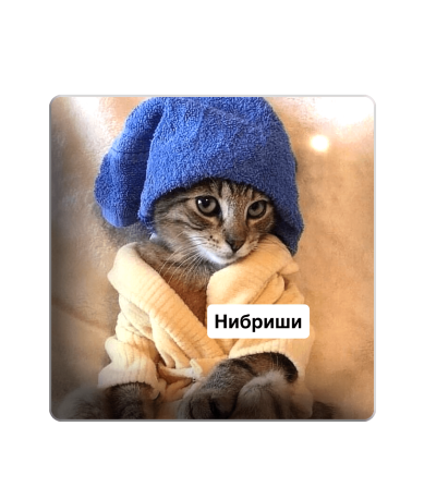 3D sticker "Cat 'Нибриши'"