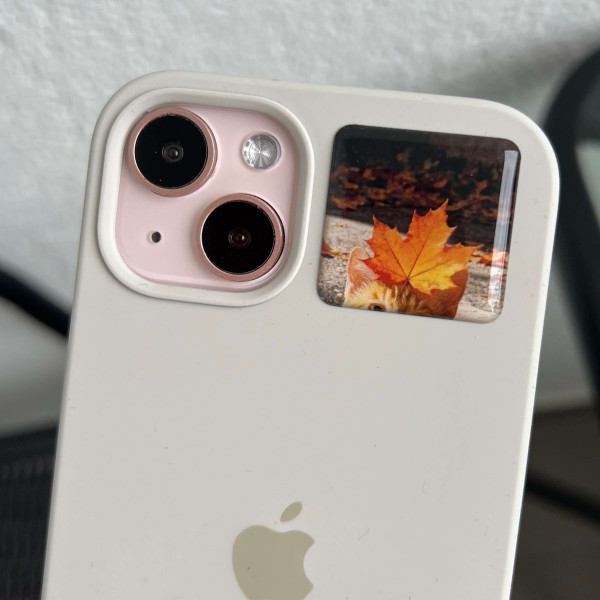3D sticker "Kitten and a leaf"