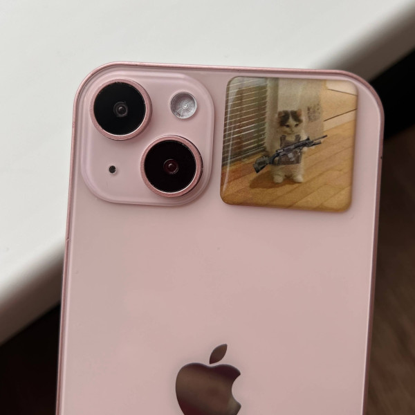 3D sticker "Cat with a gun"