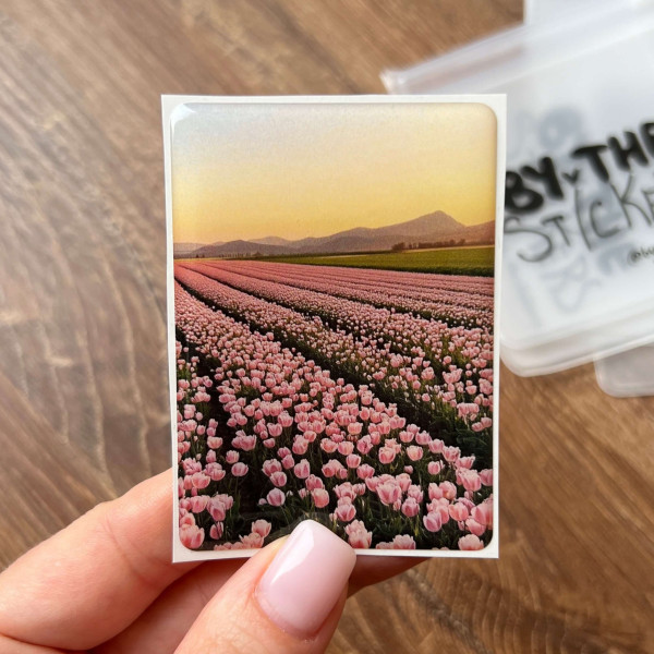 3D sticker "Pink flowers"