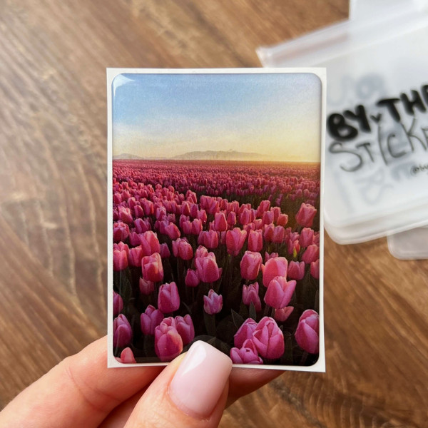 3D sticker “Pink tulips”