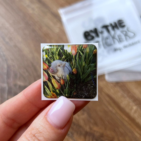 3D sticker “Pig among tulips”