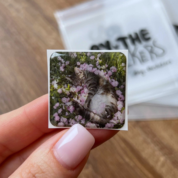 3D sticker “Spring kitten”