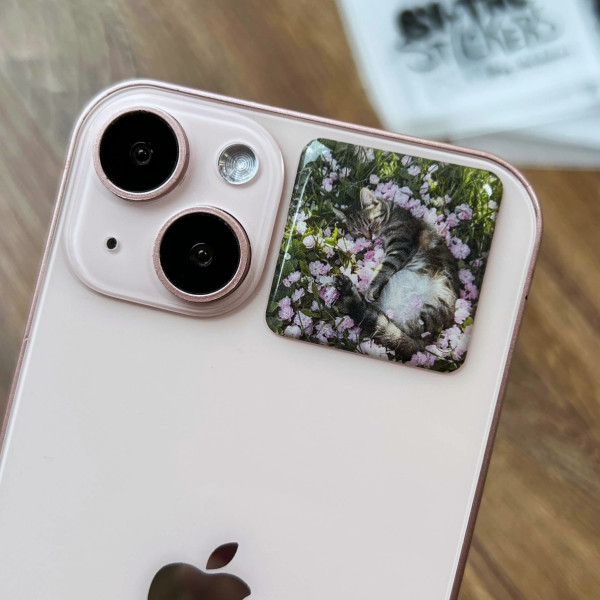 3D sticker “Spring kitten”