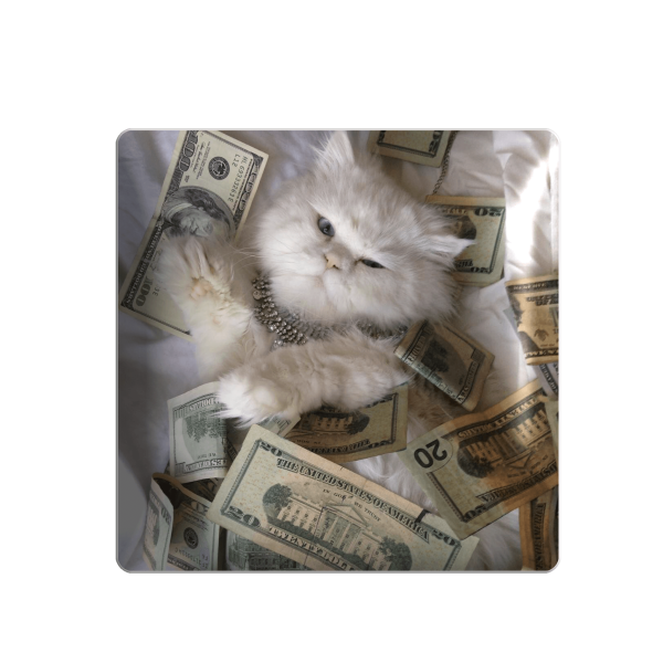 3D sticker "Kitten with dollars"