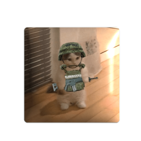 3D стікер "Котик в шоломі"