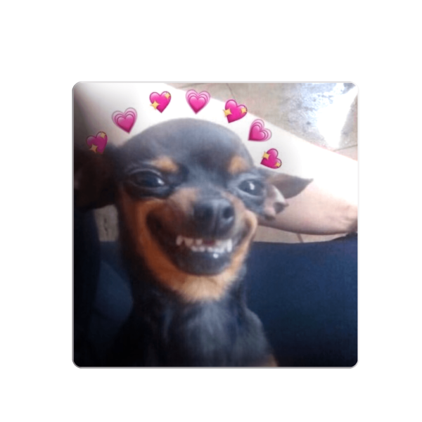 3D sticker "Love in every smile, a little puppy in love"