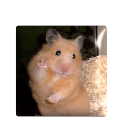  3D sticker "Hamster"