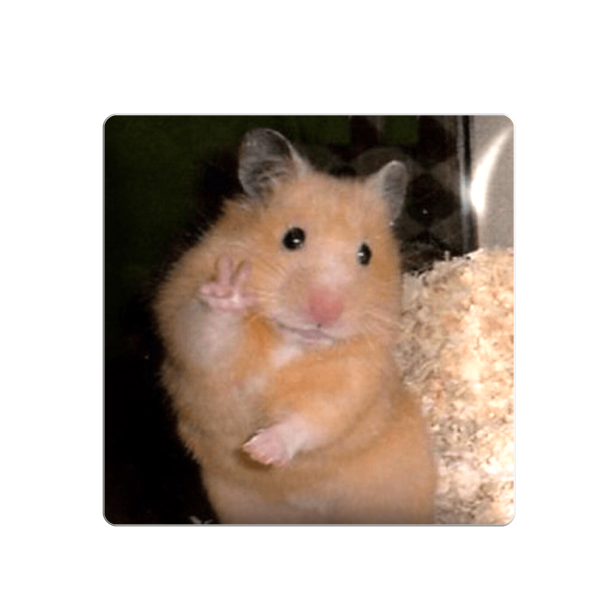  3D sticker "Hamster"