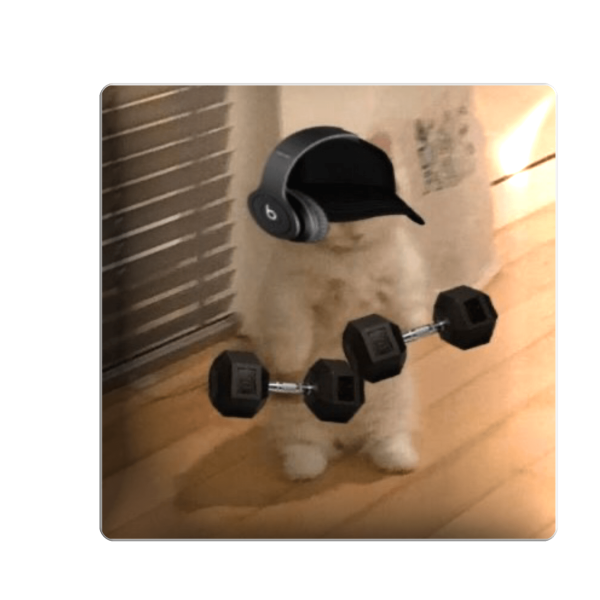 3D стікер "Котик з гантелями"