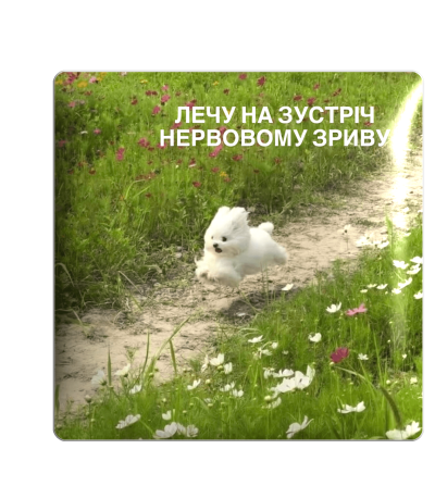 3D стікер "Лечу на зустріч"