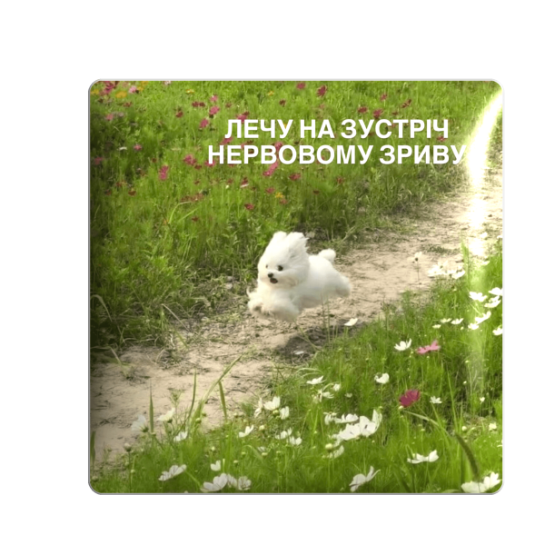 3D стікер "Лечу на зустріч"