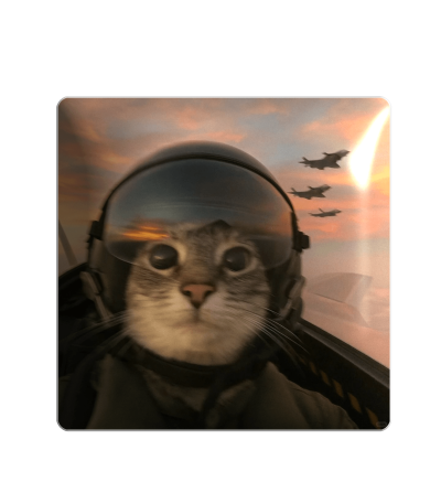 3D sticker "Cat on a plane"