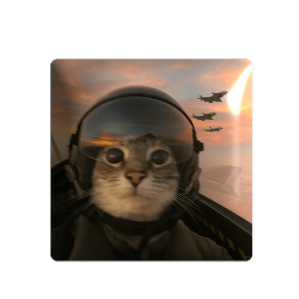 3D sticker "Cat on a plane"