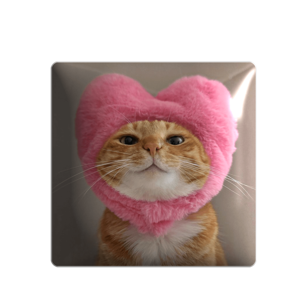 3D sticker "Cute cat"
