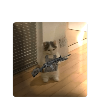 3D стікер "Котик з автоматом"