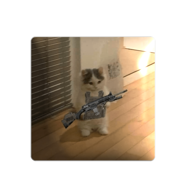 3D стікер "Котик з автоматом"
