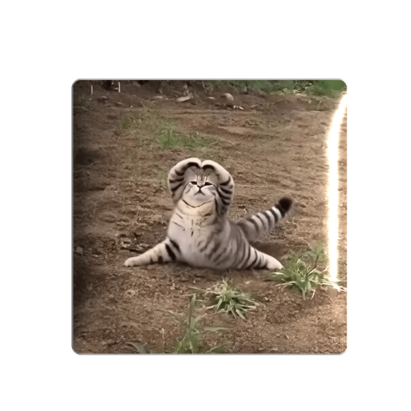 3D стікер "Meow love"