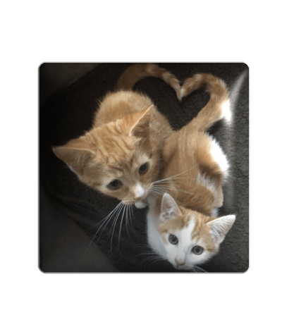  3D sticker "Kittens and a heart"