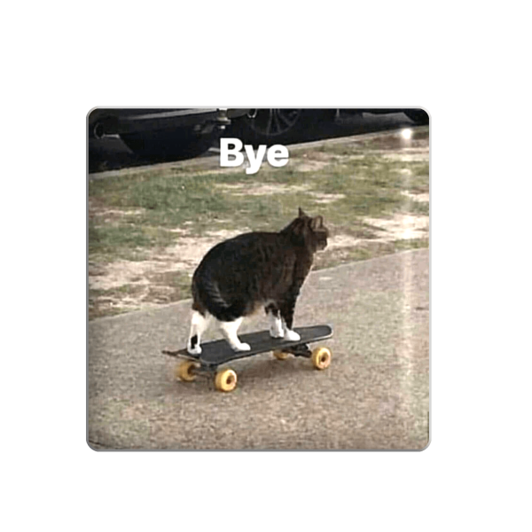 3D sticker "Kitten on a skateboard and the text 'Bye'"