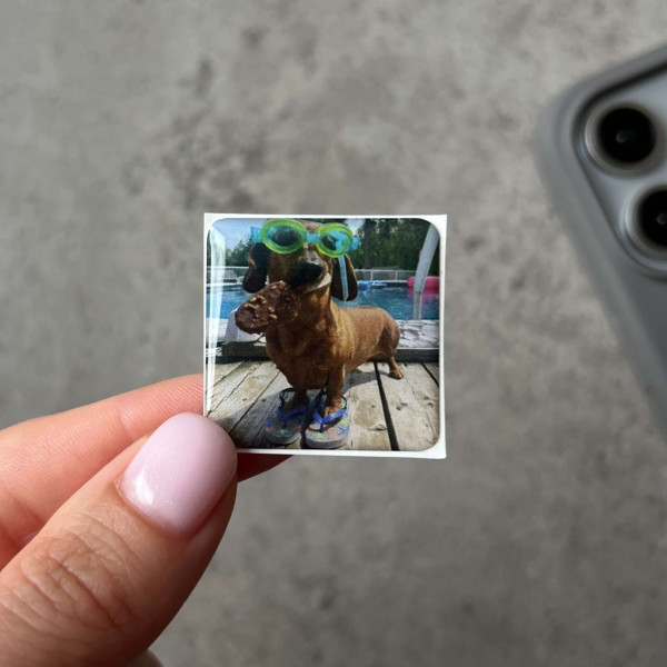 3D sticker "Dog with ice cream"