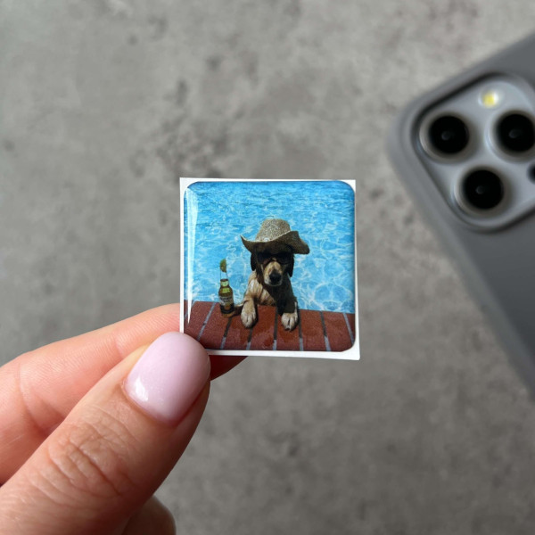 3D sticker "Dog in the pool"