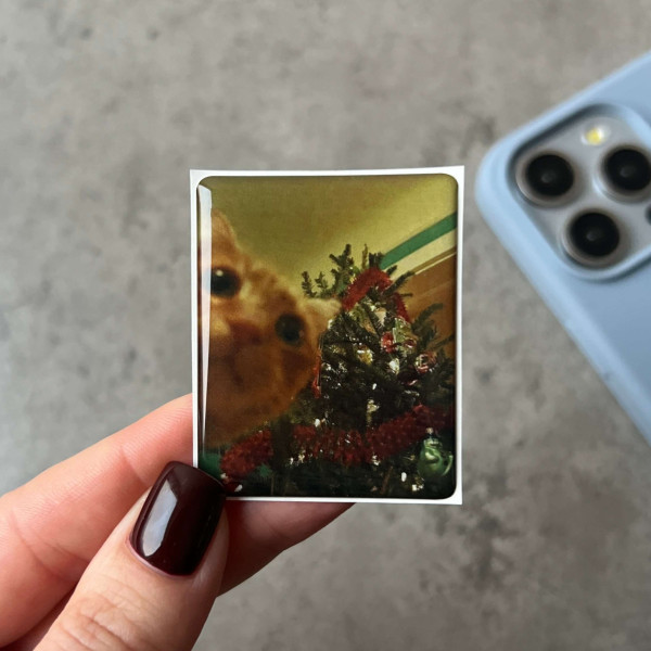 3D sticker “Kitten and Christmas tree”