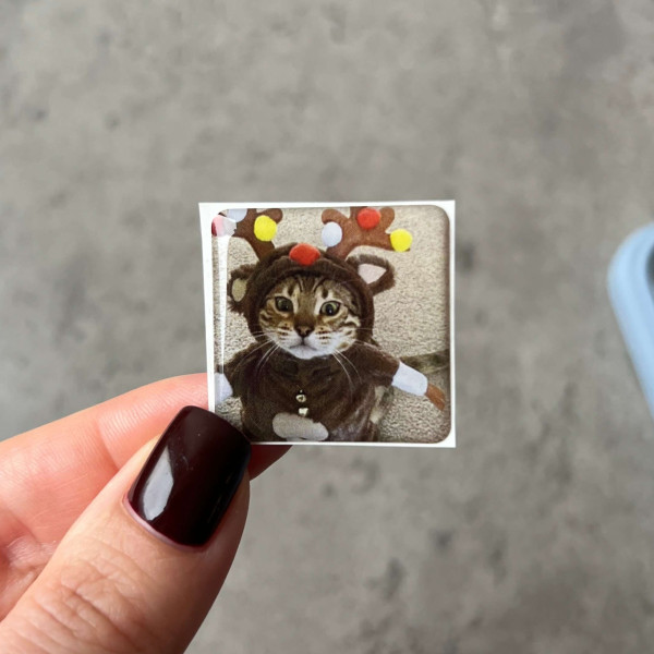 3D sticker "Christmas cat"