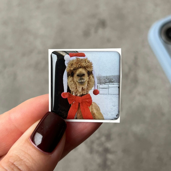 3D sticker "Christmas llama"