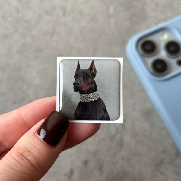 3D sticker "Doberman"