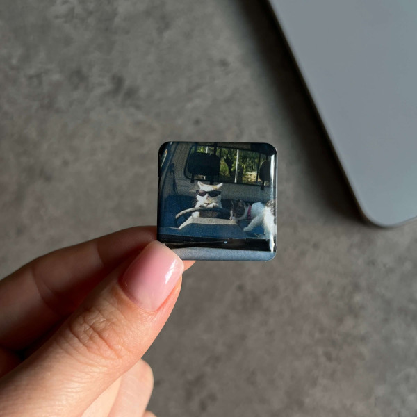 3D sticker "Cats behind the wheel"