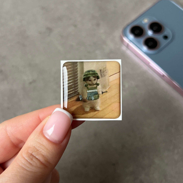 3D sticker "Kitten in a helmet"