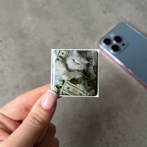 3D sticker "Kitten with dollars"