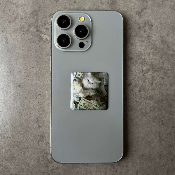 3D sticker "Kitten with dollars"