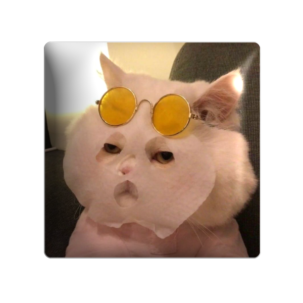 3D sticker "Cat in a mask"