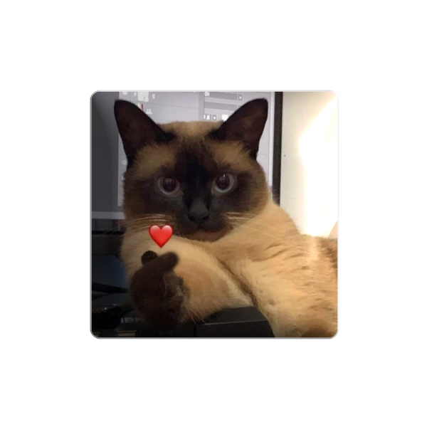 3D sticker "Kitten and a red heart"