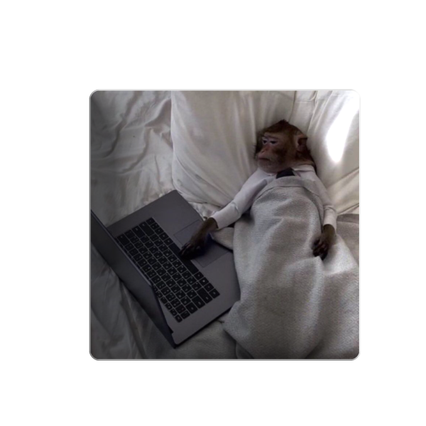 3D sticker "Little monkey at the laptop"