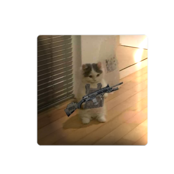 3D sticker "Cat with a gun"