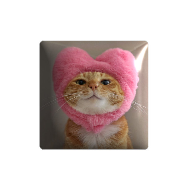 3D стікер "Cute cat"