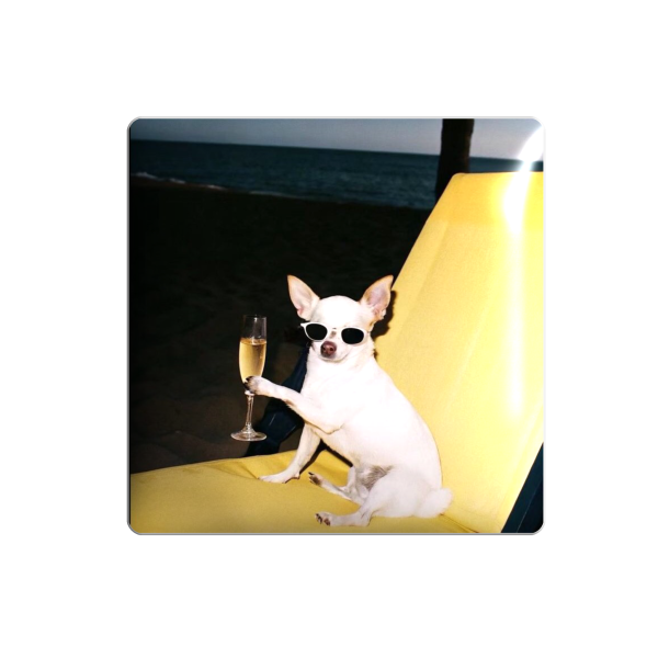3D sticker "Puppy with a glass"