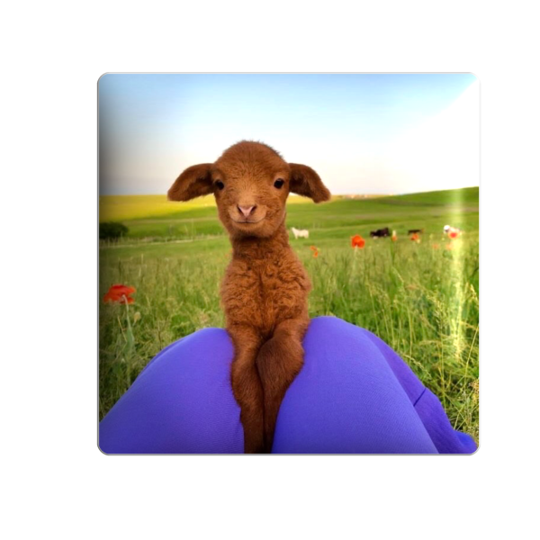 3D стікер "Cute lamb"