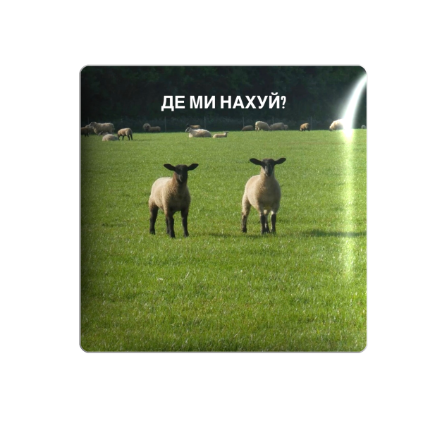 3D стікер "Де ми"