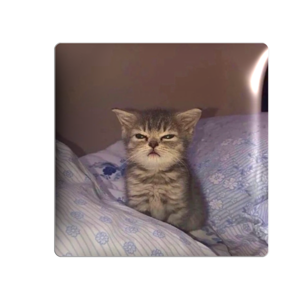 3D стікер "Сонний котик"
