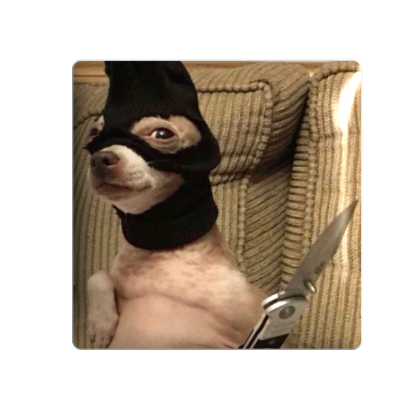 3D sticker "Dangerous dog"