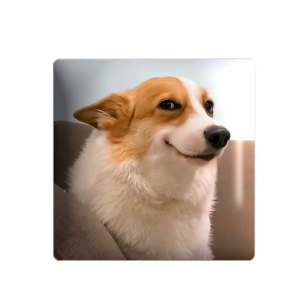 3D sticker "Happy dog"