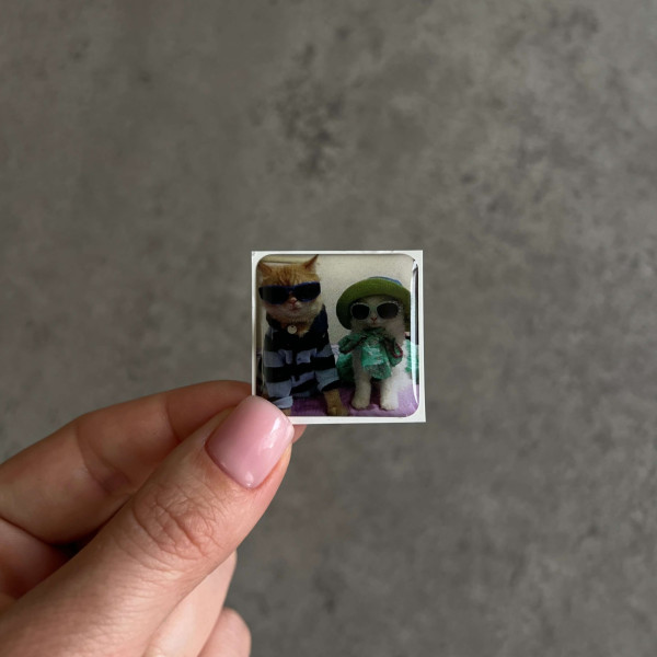 3D sticker "Kittens in glasses"