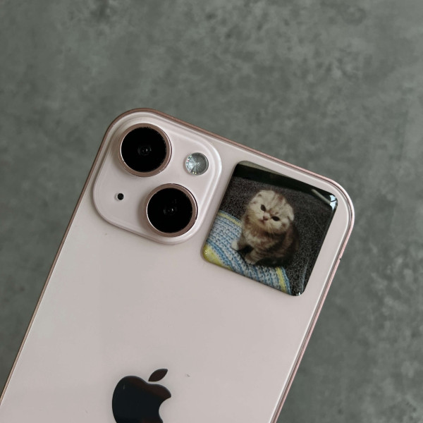 3D sticker "Angry kitten"